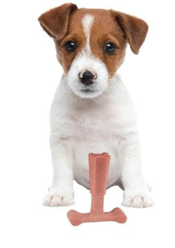 Beef Flavor T-Bone Dog Chew Toy – Small