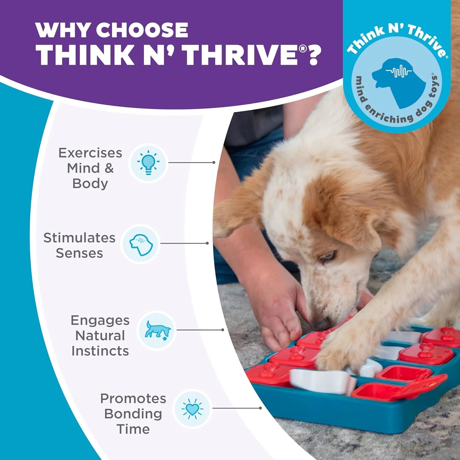 Interactive Dog Treat Puzzle Toy