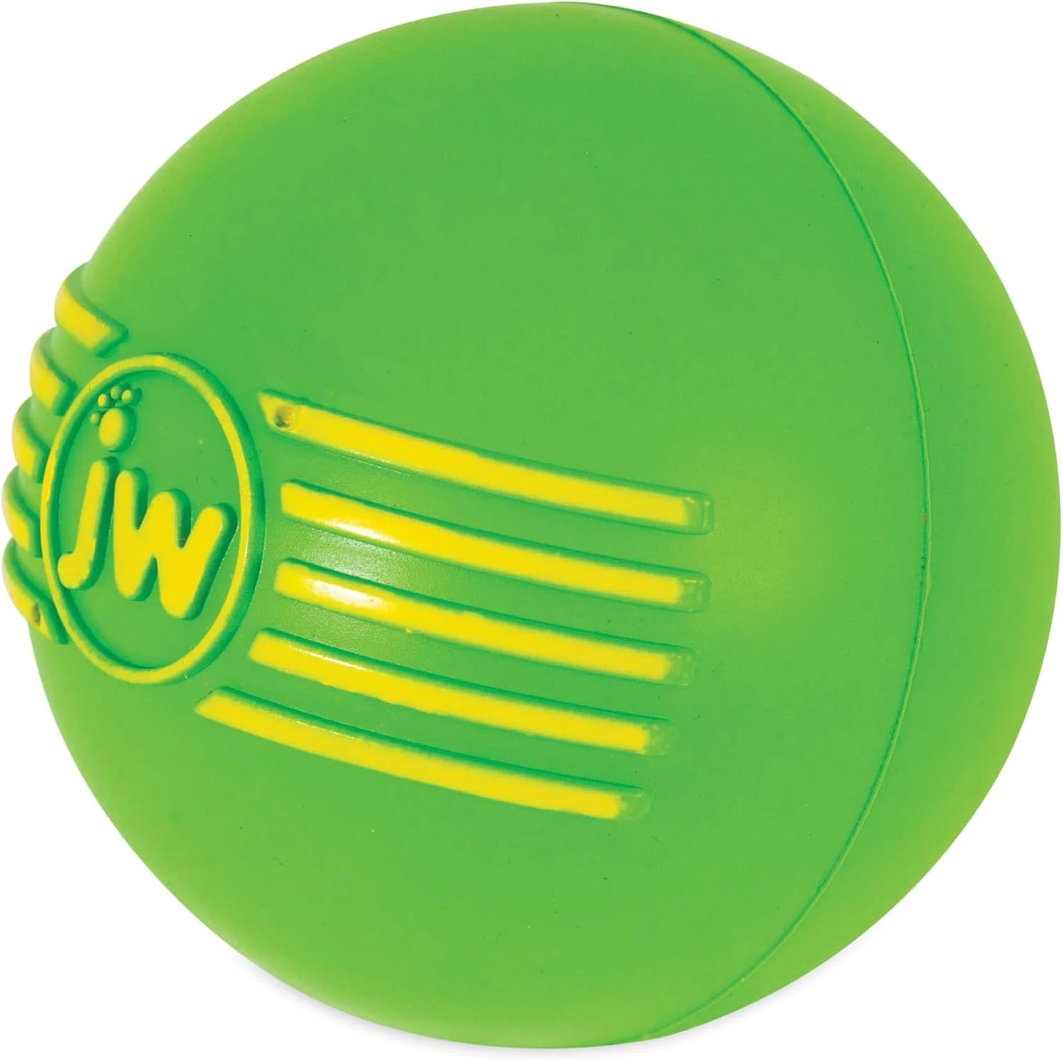 Squeaky Fetch Ball Dog Toy