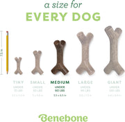 Bacon Flavor Dog Chew Stick – Medium