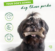 Bacon Flavor Dog Chew Stick – Medium