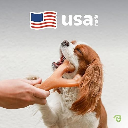 Bacon Flavored Dog Chew Bone