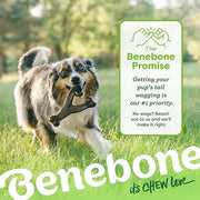 Bacon Flavored Dog Chew Bone