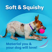 Bacon Scented Durable Dog Chew Toy