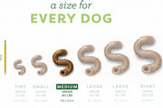 Beef Flavor Bone Dog Chew Toy – Medium