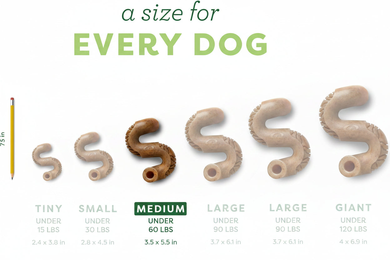 Beef Flavor Bone Dog Chew Toy – Medium