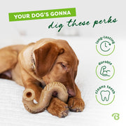 Beef Flavor Bone Dog Chew Toy – Medium