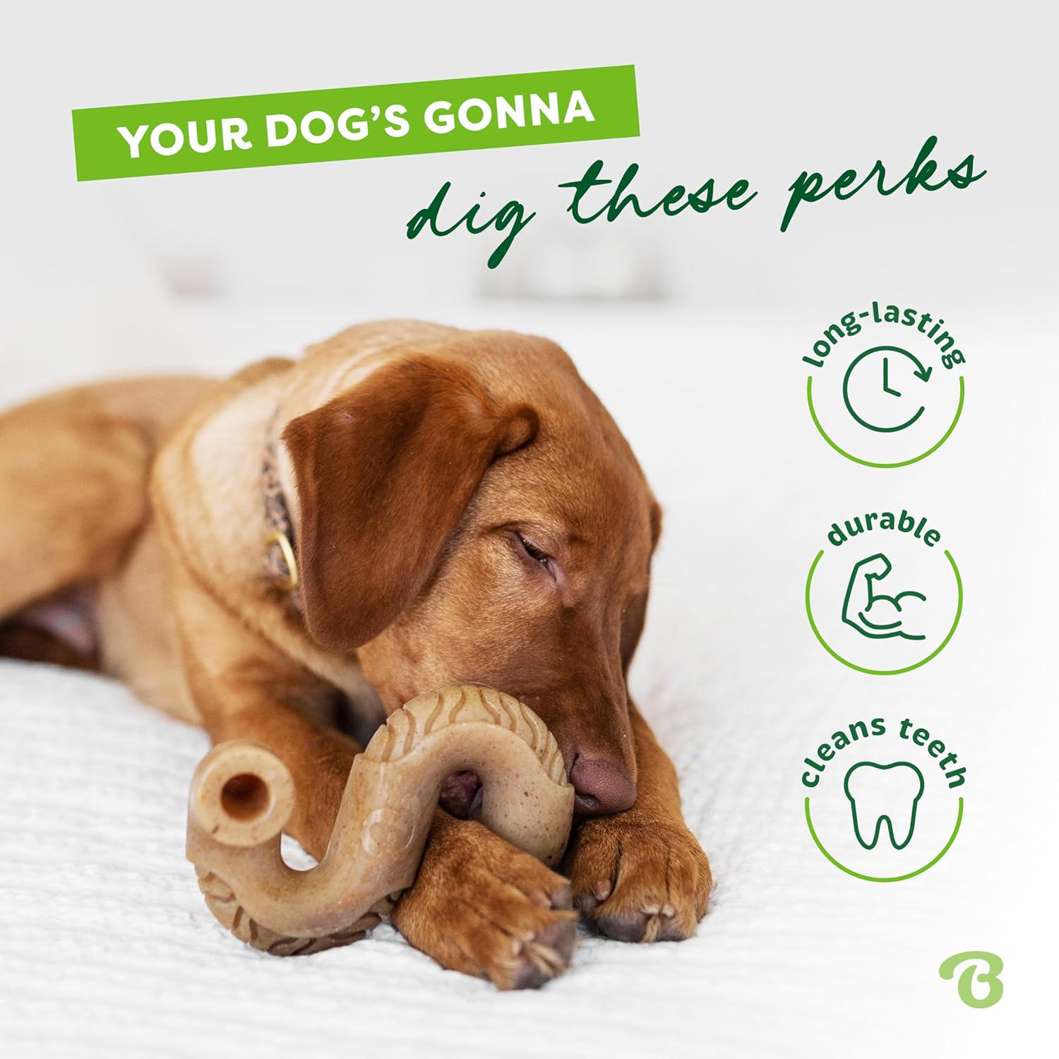 Beef Flavor Bone Dog Chew Toy – Medium