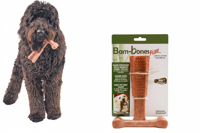 Beef Flavor T-Bone Dog Chew Toy – Large