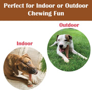 Beef Flavor T-Bone Dog Chew Toy – Large