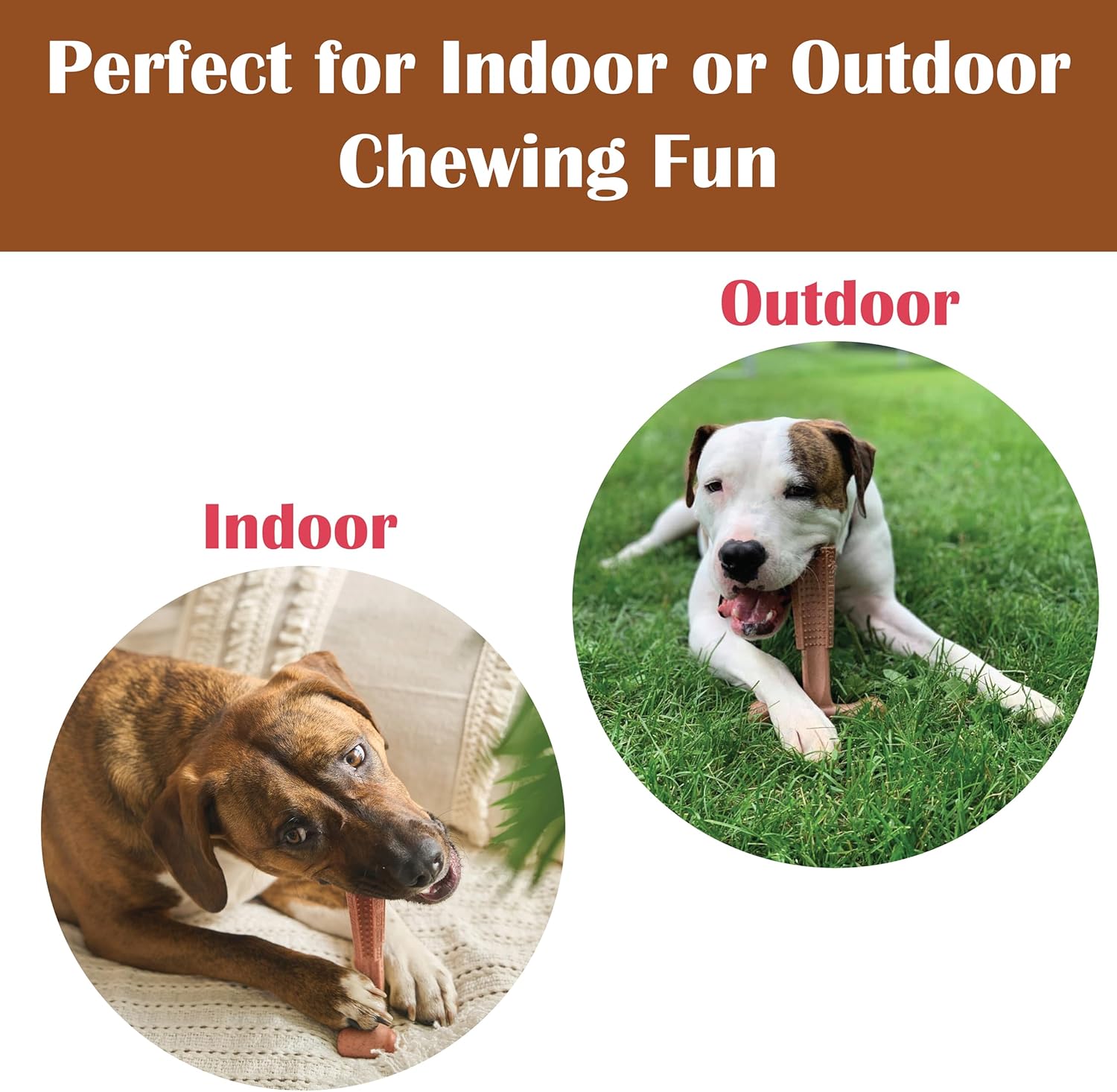 Beef Flavor T-Bone Dog Chew Toy – Large