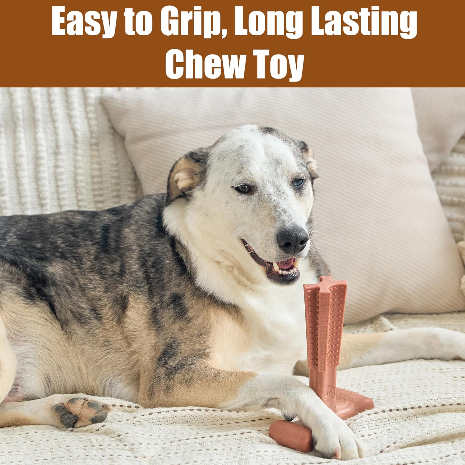 Beef Flavor T-Bone Dog Chew Toy – Large