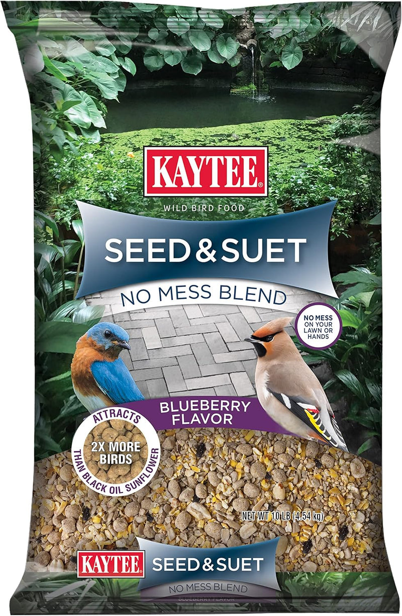 Blueberry Suet Blend