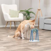 Brain Training Dog Activity Toy