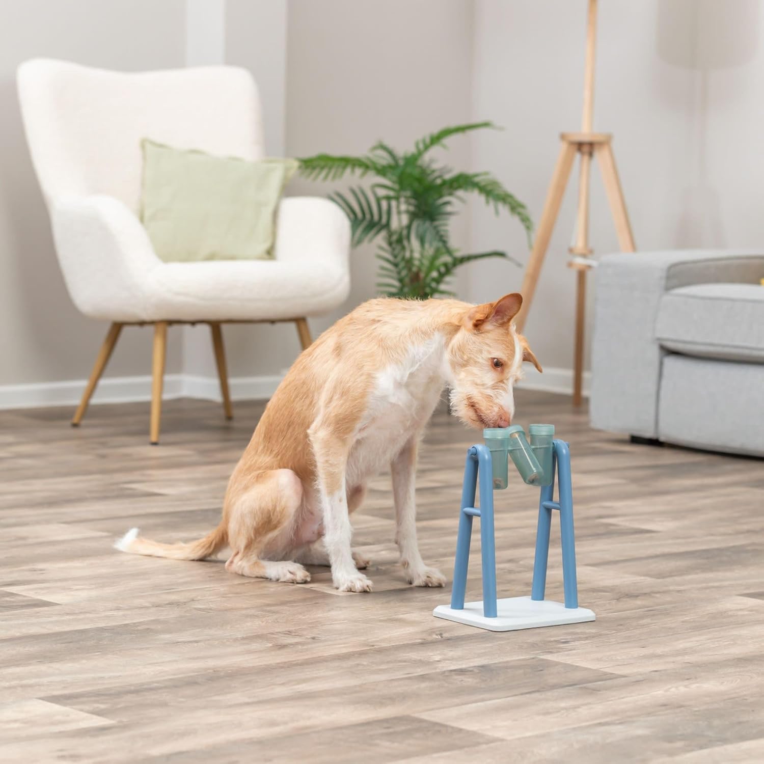 Brain Training Dog Activity Toy