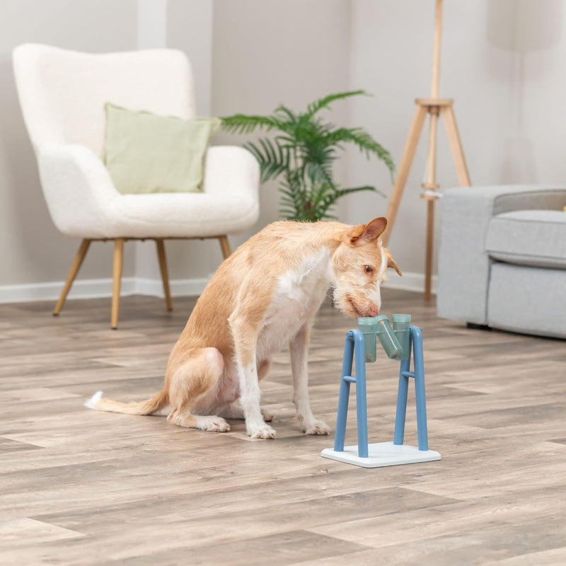 Brain Training Dog Activity Toy