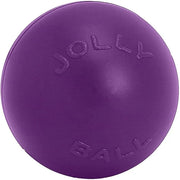 Push Play Dog Ball Toy