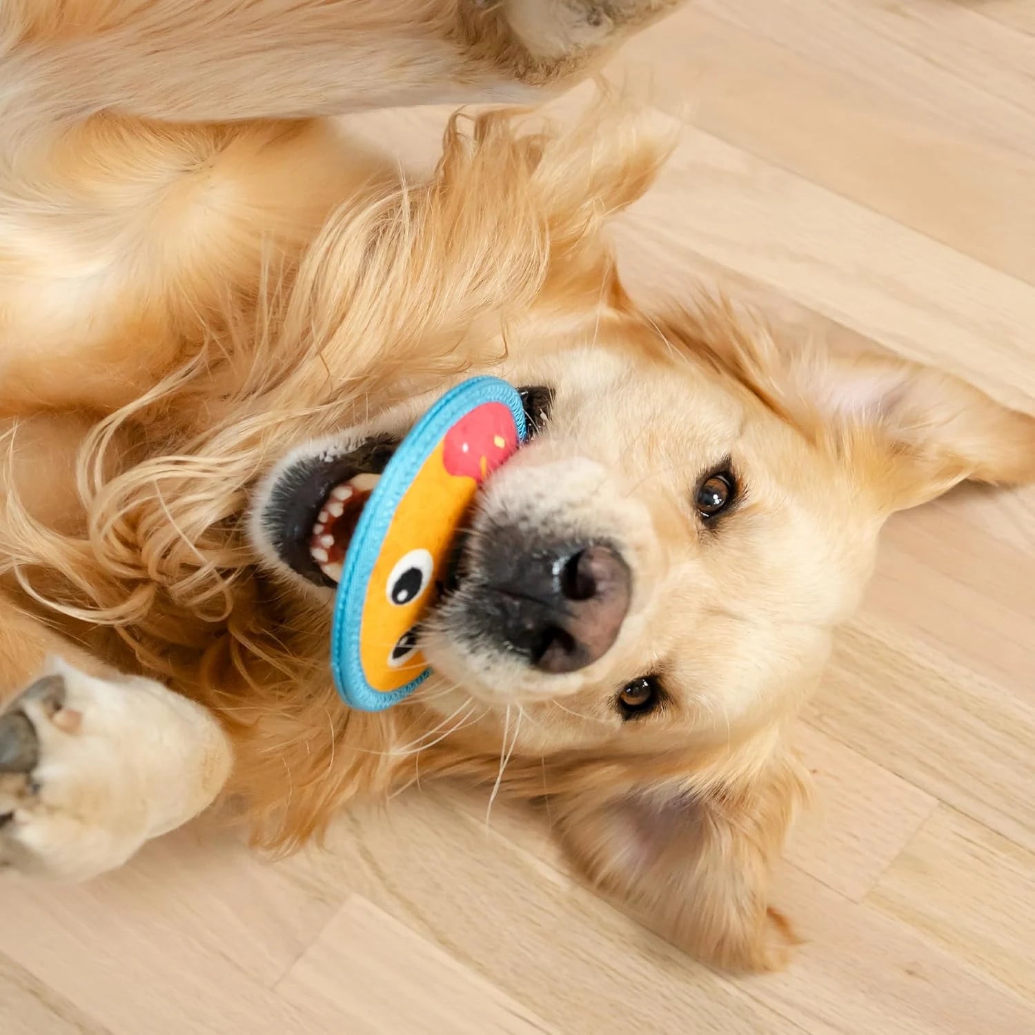 Durable Squeaky Donut Dog Toy