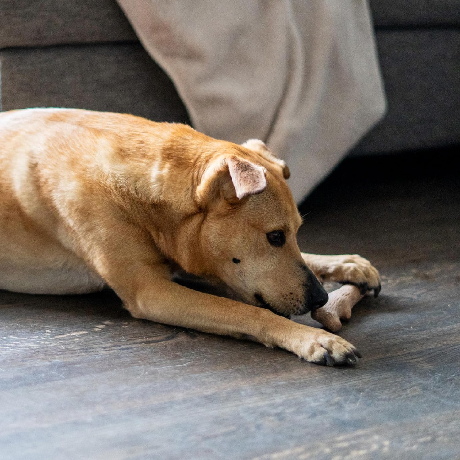 Calming Wood Dog Chew Toy