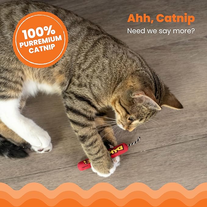Catnip Dynamite Kicker Cat Toy