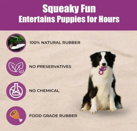 Puppy Pacifier Squeaky Chew Toy