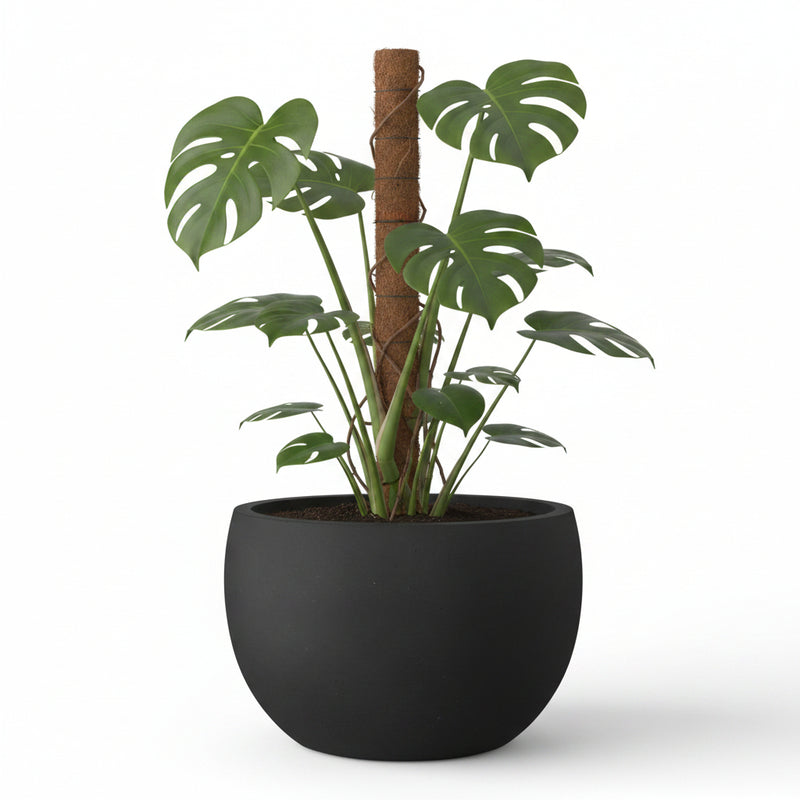 Charcoal Round Planter
