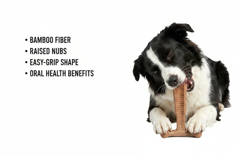 Chicken Flavor T-Bone Dog Chew Toy – Medium