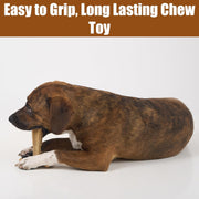 Chicken Flavor T-Bone Dog Chew Toy – Medium