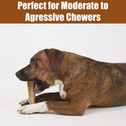 Chicken Flavor T-Bone Dog Chew Toy – Medium