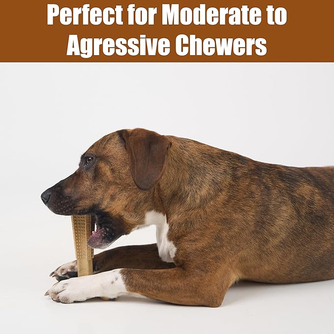 Chicken Flavor T-Bone Dog Chew Toy – Medium