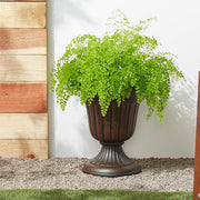 Classic Clay Planter