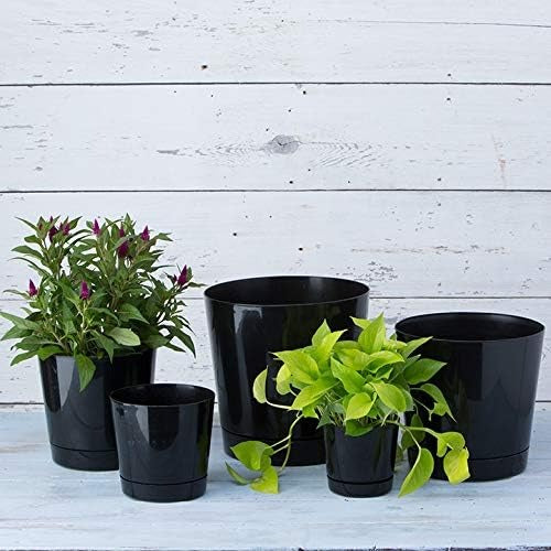 Classic Glossy Plant Planter
