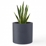 Concrete Garden Planter