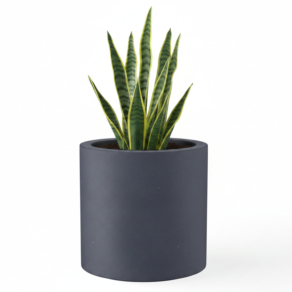 Concrete Garden Planter