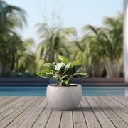 Concrete Plant Pot