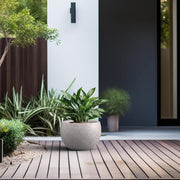 Concrete Plant Pot