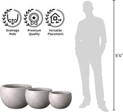 Concrete Plant Pot