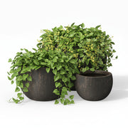 Concrete Urn Planter
