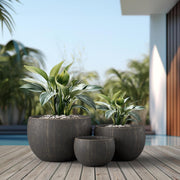Concrete Urn Planter