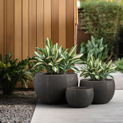 Concrete Urn Planter