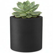 Contemporary Concrete Planter