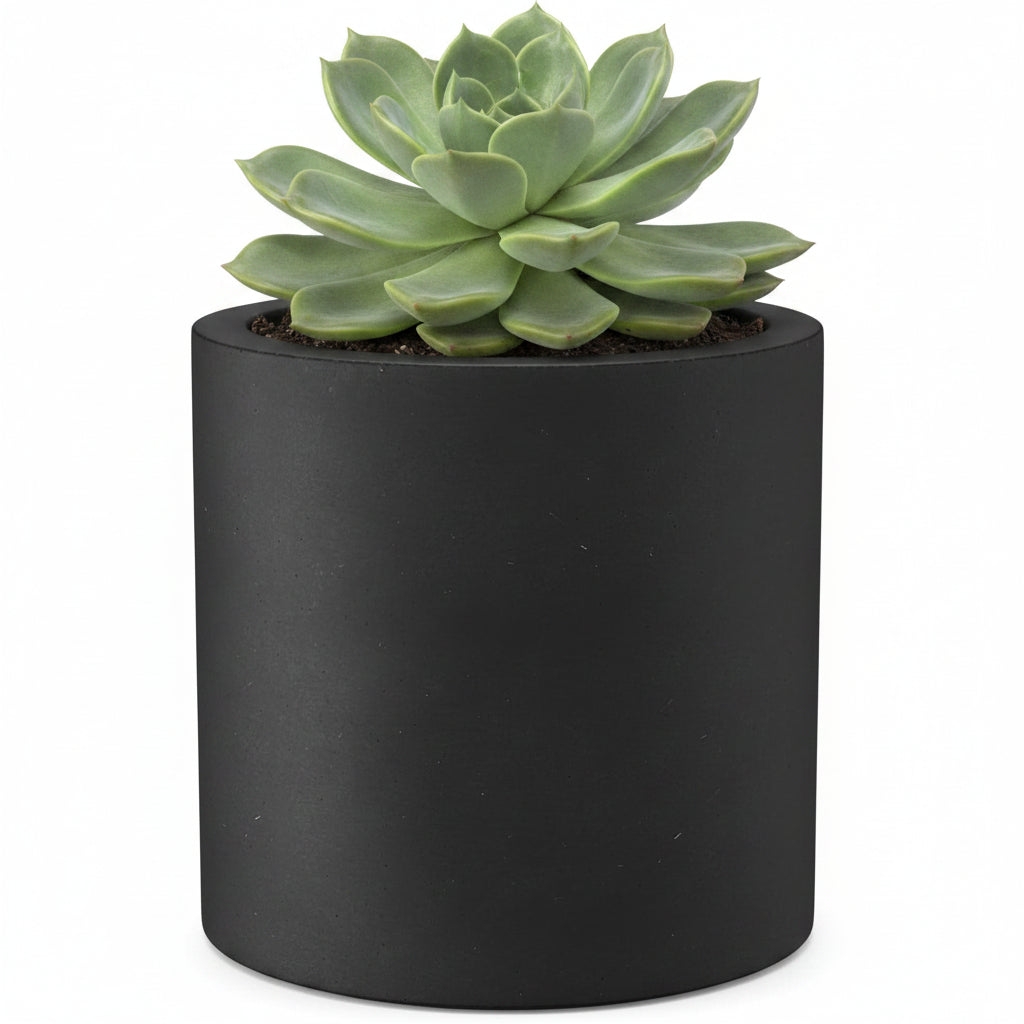 Contemporary Concrete Planter