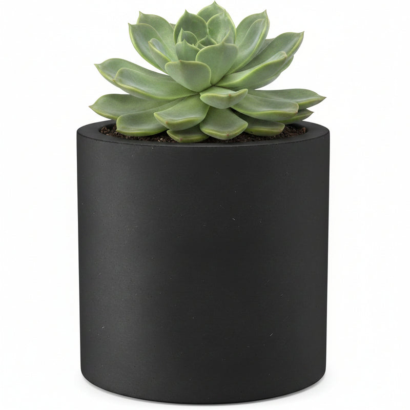 Contemporary Concrete Planter