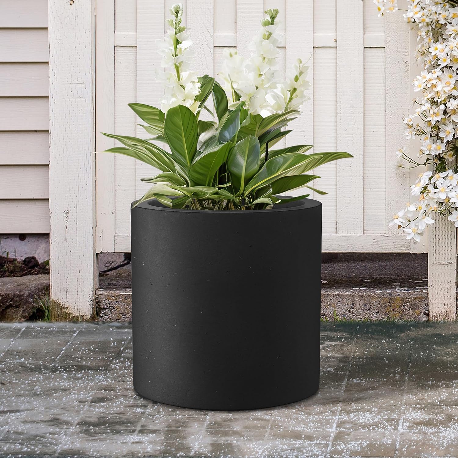 Contemporary Concrete Planter