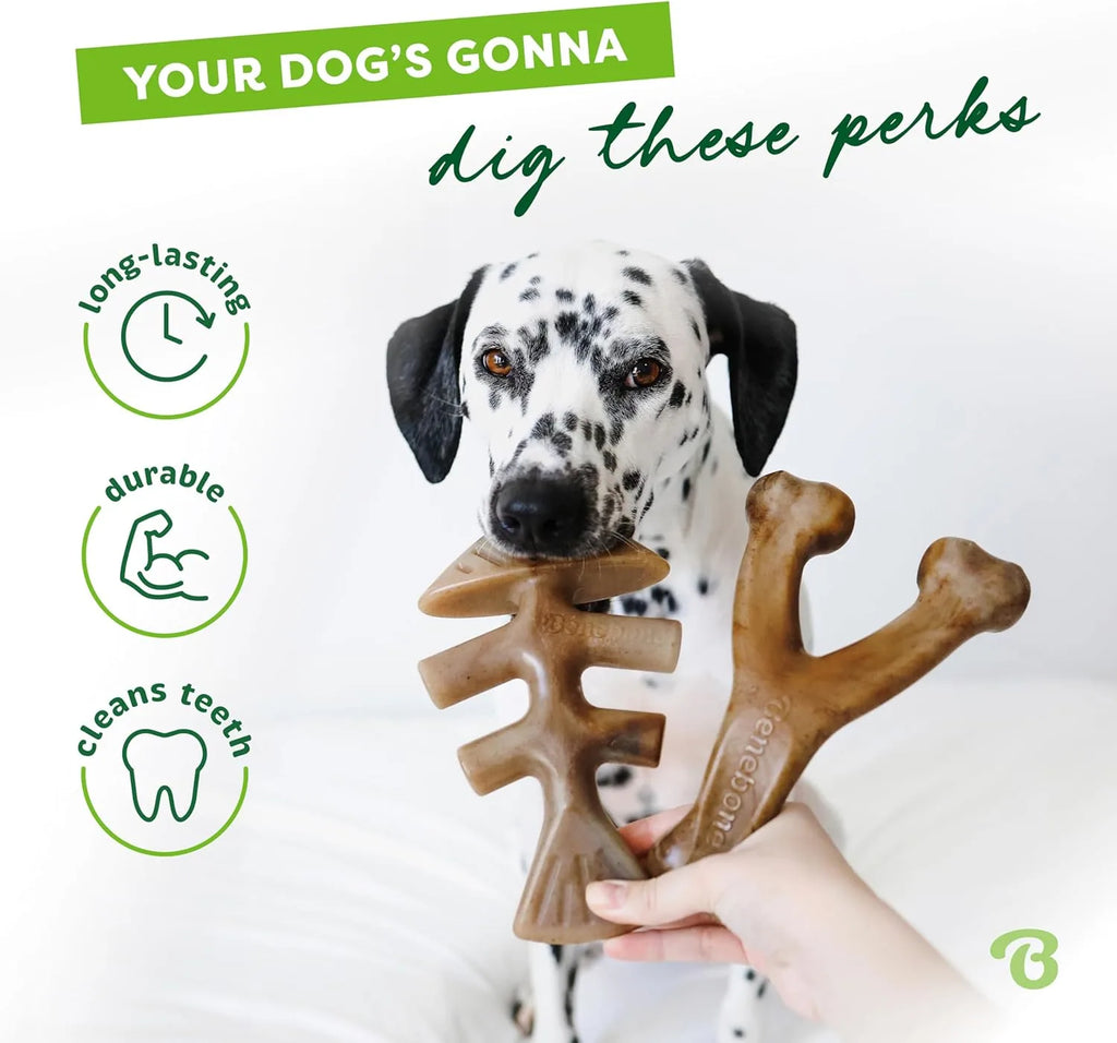 Fishbone & Wishbone Durable Dog Chew Toy Set (2-Pack)