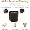 Decorative Ceramic Planter