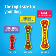 Dental Chew Toy & Treat Pack – Large (3 Pack)