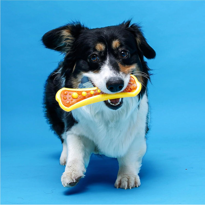 Dental Chew Toy & Treat Pack – Medium (3 Pack)
