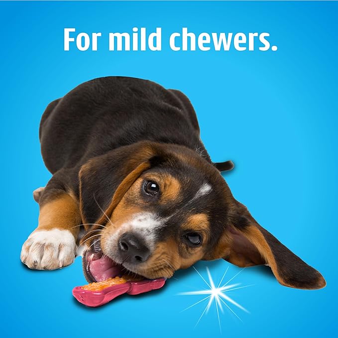 Dental Chew Toy & Treat Pack – Medium (3 Pack)