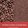 Electric Coffee & Spice Grinder